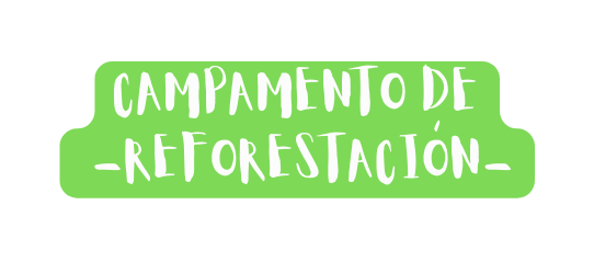 CAMPAMENTO DE reforestación